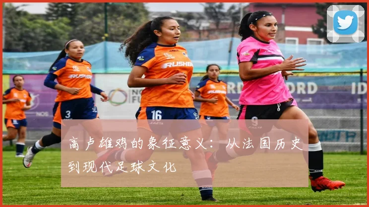 高卢雄鸡的象征意义：从法国历史到现代足球文化