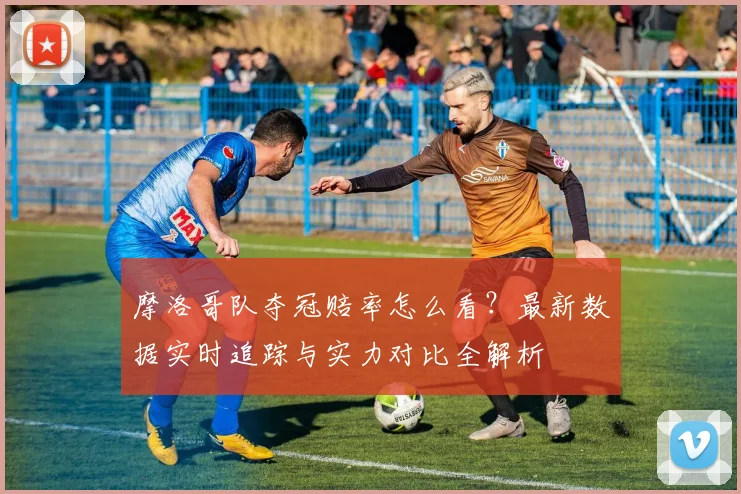 摩洛哥队夺冠赔率怎么看？最新数据实时追踪与实力对比全解析