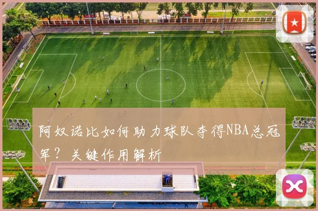 阿奴诺比如何助力球队夺得NBA总冠军?关键作用解析